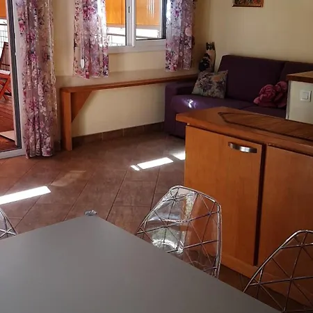 Elizaveta House *